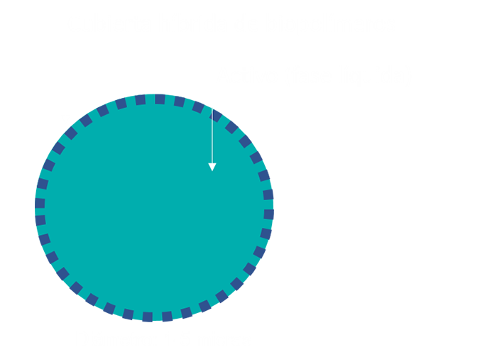 Microcápsulas