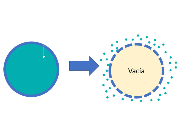 Microcápsulas